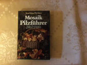 Mosaik-Pilzführer