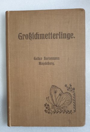 Großschmetterlinge