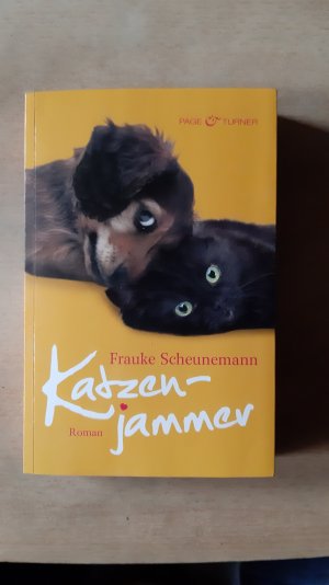 Katzenjammer - Band 2 - Roman