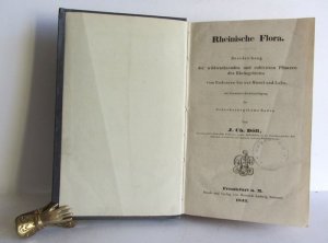 Rheinische Flora. Beschreibung der wildwachsenden und cultivirten Pflanzen des Rheingebietes vom Bodensee bis zur Mosel und Lahn, mit besonderer Berücksichtigung […]