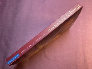 gebrauchtes Buch – Kraushaar, Elmar; Zinn – Hundert Jahre schwul. Eine Revue