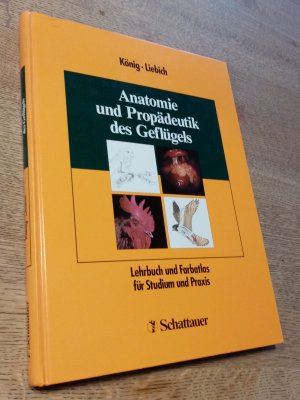 Anatomie und Propädeutik des Geflügels