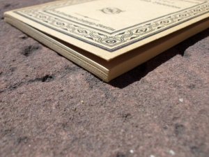 antiquarisches Buch – Gustav Neckel – Ibsen und Björnson. (= Reihe: Aus Natur und Geisteswelt. Sammlung wissenschaftlich-gemeinverständlicher Darstellungen, 635. Band). Erstausgabe.