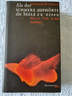 gebrauchtes Buch – Christina Didszun – Als der Schmerz aufhörte die Seele zu essen - Mein Tor in die Freiheit