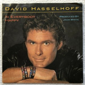 gebrauchter Tonträger – David Hasselhoff – David Hasselhoff - Is Everybody Happy