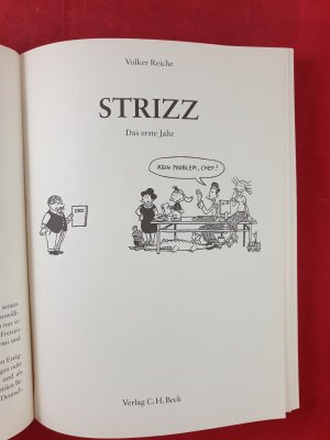 gebrauchtes Buch – Volker Reiche – Strizz - Das erste Jahr