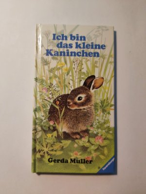 Ich bin das kleine Kaninchen.