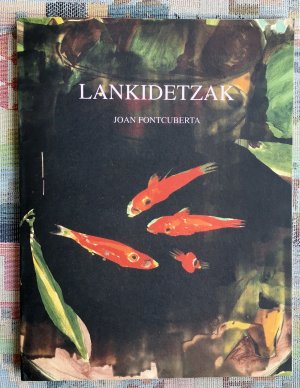 gebrauchtes Buch – Fontcuberta, Joan und Bilbao Bizkaia Kutxa – Lankidetzak : colaboraciones