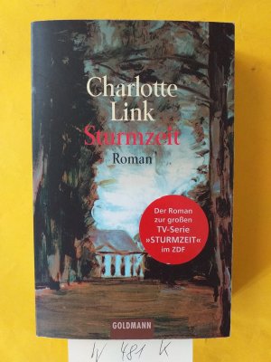 gebrauchtes Buch – Charlotte Link + Debbie Macomber – 2 Taschenbücher: " Sturmzeit " + " Auf himmlischen Abwegen "