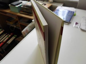 gebrauchtes Buch – Manfred Neugebauer – Große illustrierte Geschichte der Deutschen -  Pest und Krieg