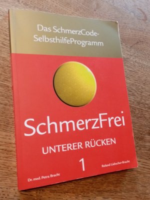 gebrauchtes Buch – Liebscher-Bracht, Roland; Bracht – Schmerzfrei - Das Selbsthilfeprogramm für Ihren Unterer Rücken