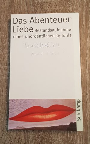 Das Abenteuer Liebe Bestandsaufnahme eines unordentlichen Gefühls