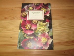 gebrauchtes Buch – Hochheimer, Martina  – Die Blumen in den Wintertagen : Texte und Bilder. Fotogr. und Textausw. von Martina Hochheimer / Insel-Bücherei ; Nr. 1273