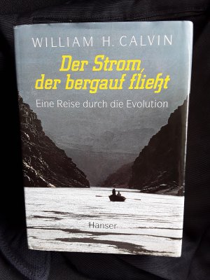 gebrauchtes Buch – Calvin, William H – Der Strom, der bergauf fliesst