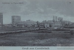 antiquarisches Buch – Postkarte – AK Gruß aus Cavelwisch. Cellulose- u. Papierfabrik. ca. 1912