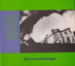 gebrauchtes Buch – Pia Witzmann – Surroundings