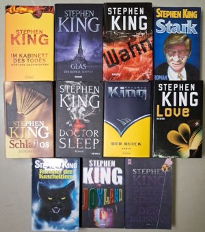 11 Romane Stephen King Wahn; Schlaflos; Friedhof der Kuscheltiere; Love; Der Buick; Doctor Sleep; Im Kabinett des Todes; Glas; Stark; Der Talisman; Joyland