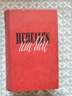 Rebellen um Ehre, Mein Kampf für die nationale Erhebung 1918-33