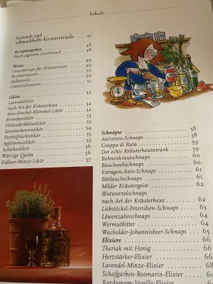 gebrauchtes Buch – Gabriele Bickel – Liköre und Schnäpse von der Kräuterhexe