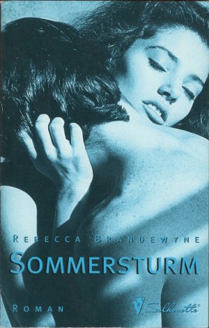 gebrauchtes Buch – Rebecca Brandewyne – Sommersturm