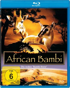 African Bambi