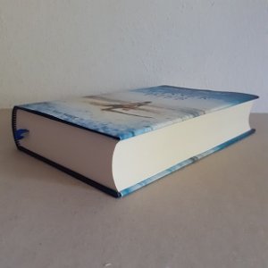 Der Wasserdieb“ (Claire Hajaj) – Buch gebraucht kaufen – A02wt2Ys01ZZ2