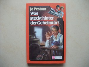 N & K. Die Detektive / Was steckt hinter der Geheimtür?