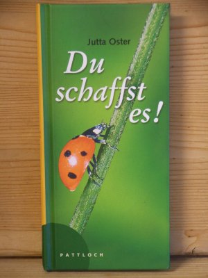 gebrauchtes Buch – Jutta Oster – "Du schaffst es!"