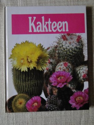 Kakteen