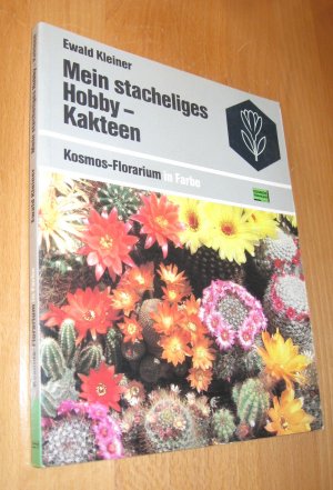 Mein stacheliges Hobby- Kakteen