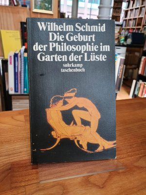 gebrauchtes Buch – Foucault, Michel / Wilhelm Schmid – Die Geburt der Philosophie im Garten der Lüste - Michel Foucaults Archäologie des platonischen Eros