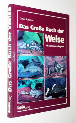 Das Grosse Buch der Welse / innen wie neu