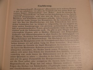 antiquarisches Buch – Hermann WEBER – Biologie der Hemipteren. Eine Naturgeschichte der Schnabelkerfe