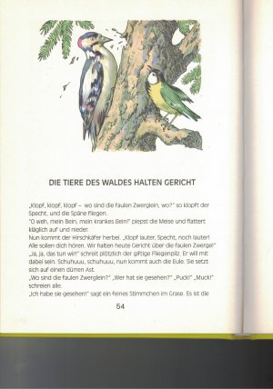 gebrauchtes Buch – Hilde Forster / Ernst Kutzer / Gerti Mauser-Lichtl – Abenteuer mit Puck und Muck