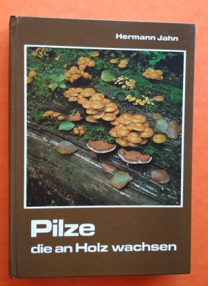 Pilze, die an Holz wachsen.