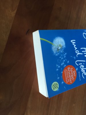 gebrauchtes Buch – Cecelia Ahern – Zwischen Himmel und Liebe