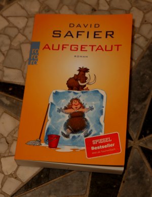 gebrauchtes Buch – David Safier – Aufgetaut