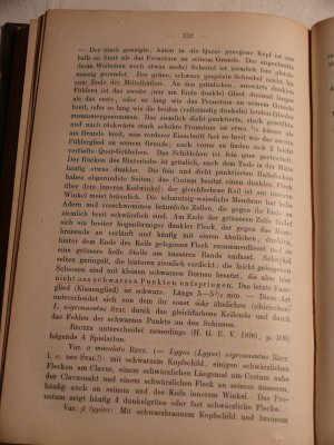 antiquarisches Buch – Dr. Theodor Hüeber – Synopsis der deutschen Blindwanzen (Hemiptera heteroptera fam. Capsidae) Band I