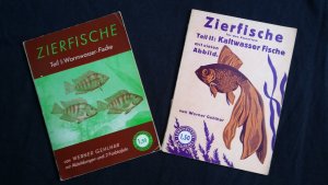 Zierfische Teil 1 und 2