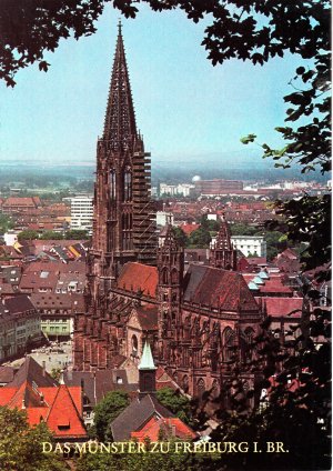 gebrauchtes Buch – Hermann Gombert – Das Münster zu Freiburg im Breisgau