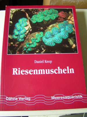 Riesenmuscheln