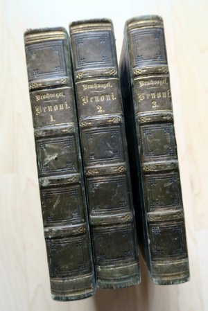 antiquarisches Buch – Brachvogel, A. E – Benoni. Ein Roman. 3 Bände.