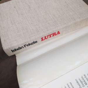 Lutra. Die Geschichte eines Fischotters