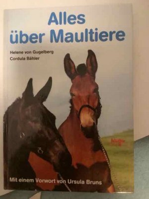 Alles über Maultiere