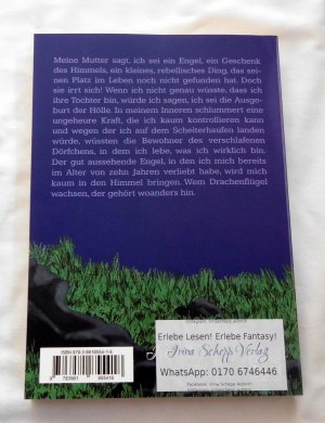 gebrauchtes Buch – Irina Schepp – Des Teufels Liebling / Band 1 - Der gefallene Engel