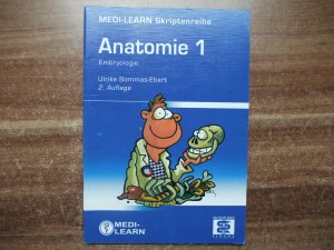 Anatomie Die Physikumsskripte  MEDI-LEARN Dozenten. Anatomie 1. Embryologie