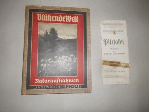 Blühende Welt Naturaufnahmen (inkl. Pilztafel als Beilage)