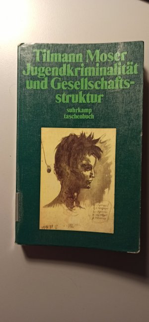 Jugendkriminalität und Gesellschaftsstruktur