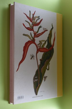 gebrauchtes Buch – Merian, Maria Sibylla (Mitwirkender) – Insects of Surinam = Die Insekten Surinams. Maria Sibylla Merian. [Katharina Schmidt-Loske. Ed. and ed. coordination: Ute Kieseyer. Engl. transl.: Joan Clough. French transl.: Jeanne Etoré-Lortholary]