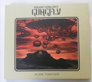 gebrauchter Tonträger – Gungfly, Rickard Sjoblpm – Alone Together